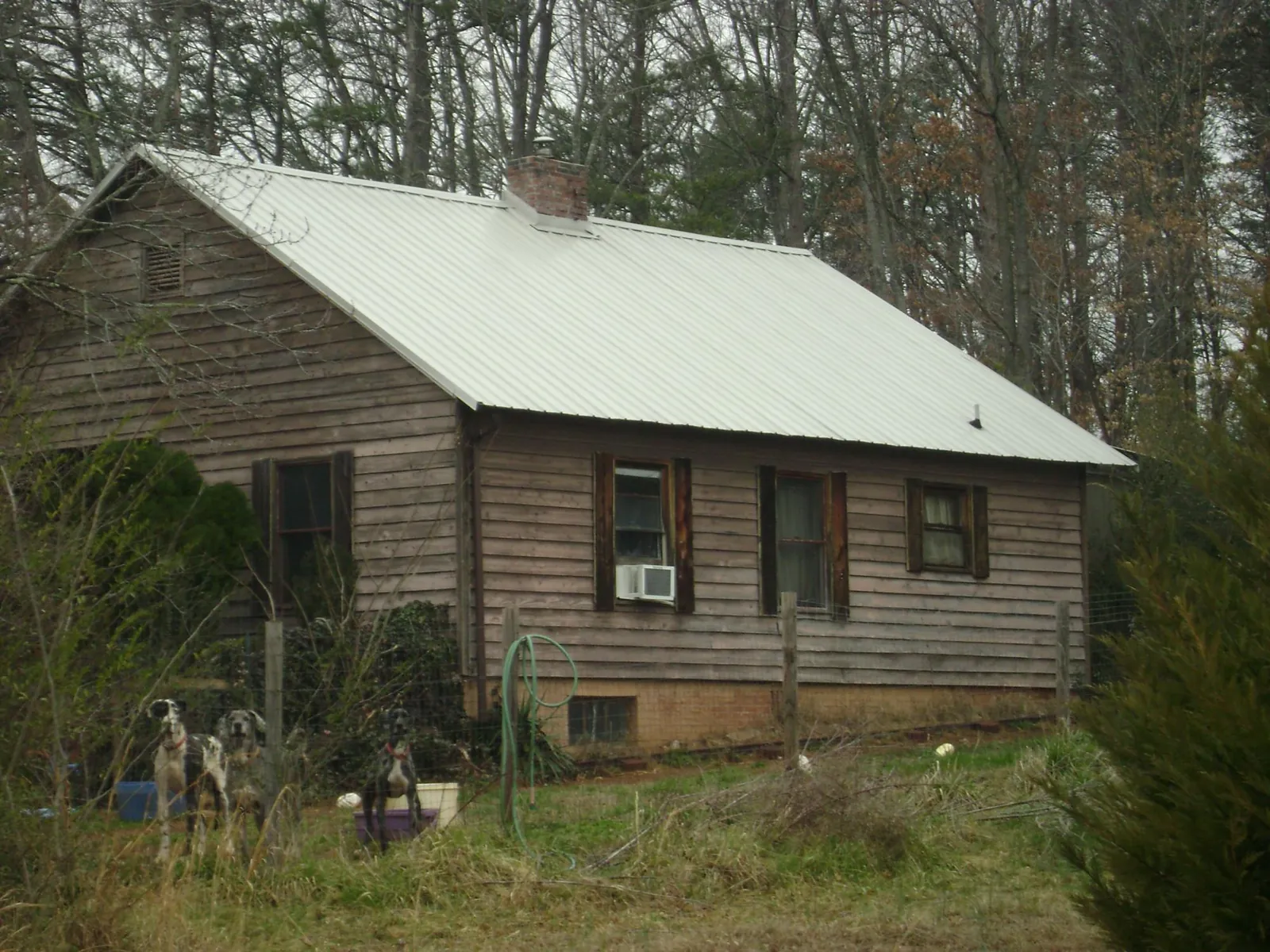 White metal roof on an old wood sided farmhouse, from a Metal Roof Installation job in Idaho Springs